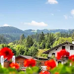 Zur Alten Schmiede * Wildschoenau